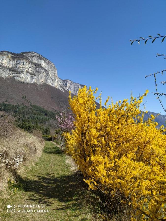 Studio Au Pied De La Montagne Et Vue Imprenable Saint-Alban  Esterno foto