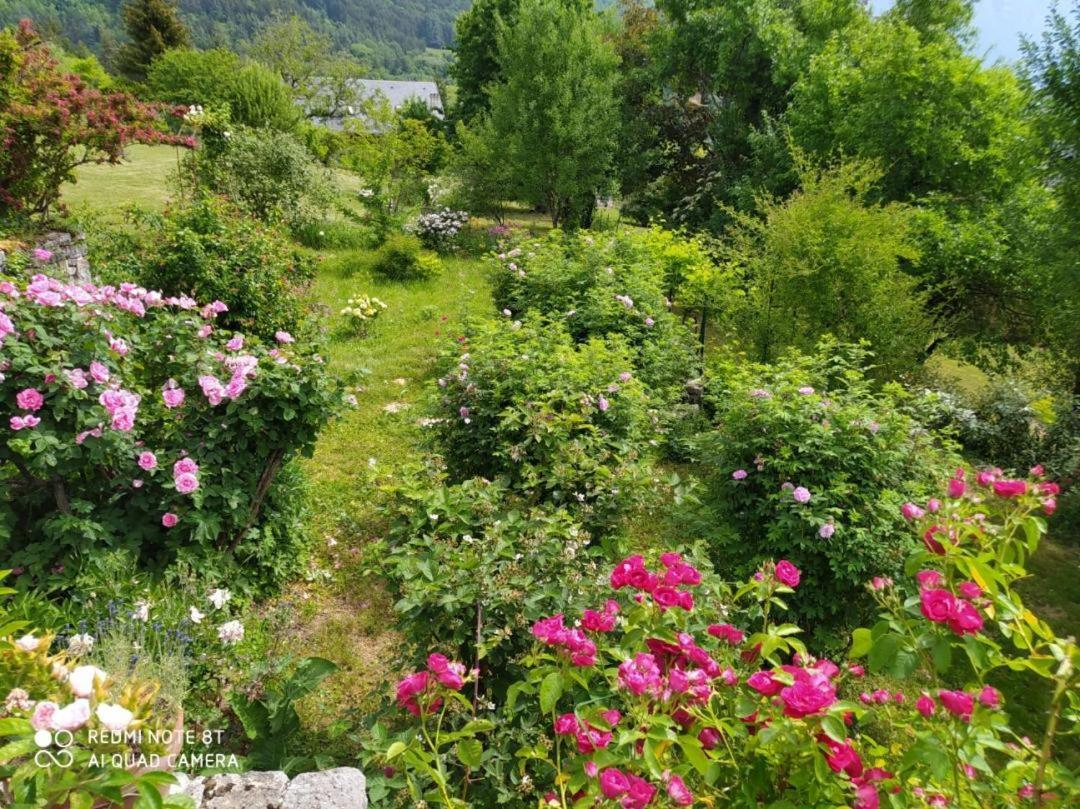 Studio Au Pied De La Montagne Et Vue Imprenable Saint-Alban  Esterno foto