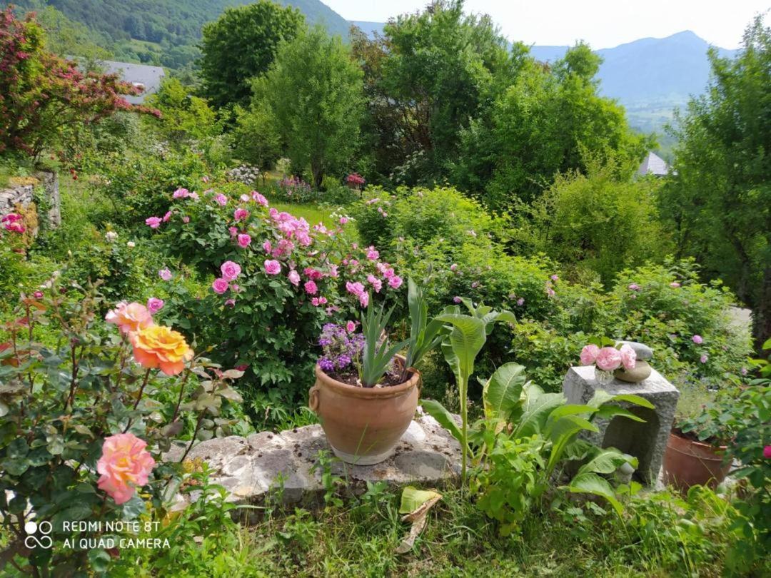 Studio Au Pied De La Montagne Et Vue Imprenable Saint-Alban  Esterno foto